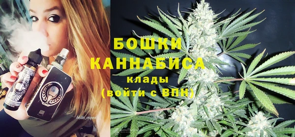 не бодяженный Арсеньев