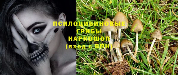 гидропоника Армянск